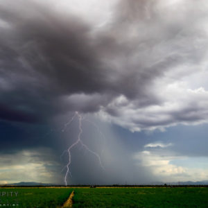 Monsoon#48