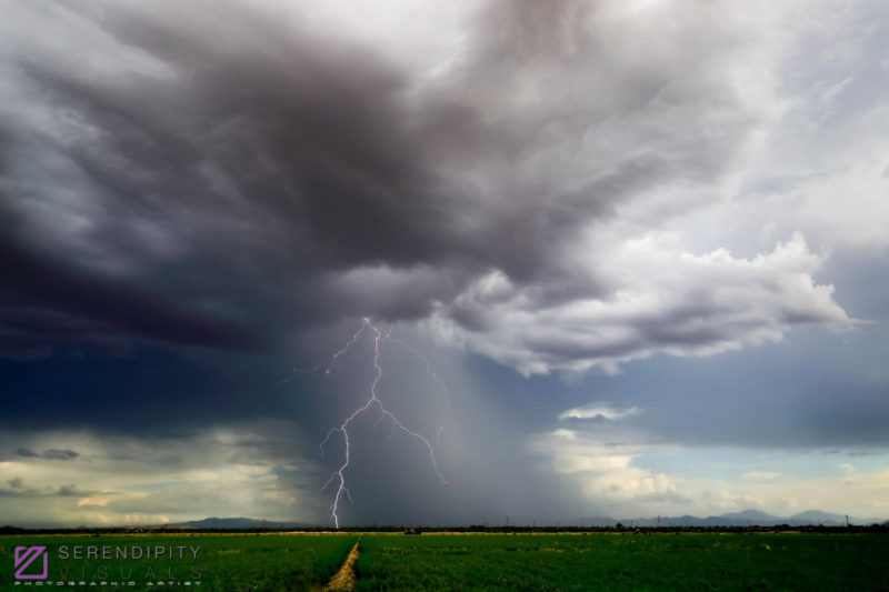 Monsoon#48