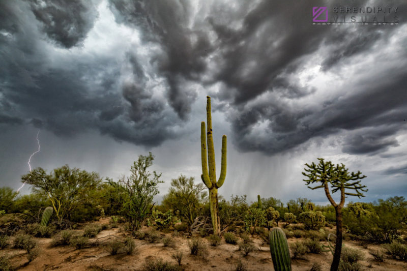Monsoon #40
