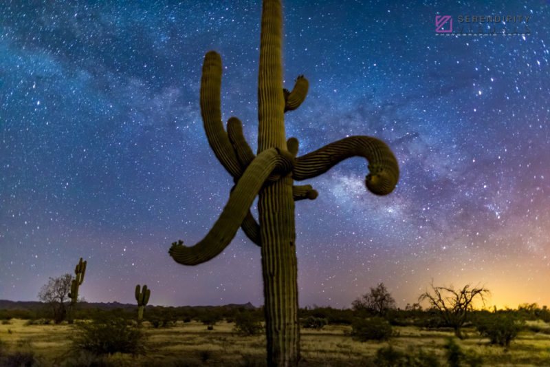 Nighttime Sky #8