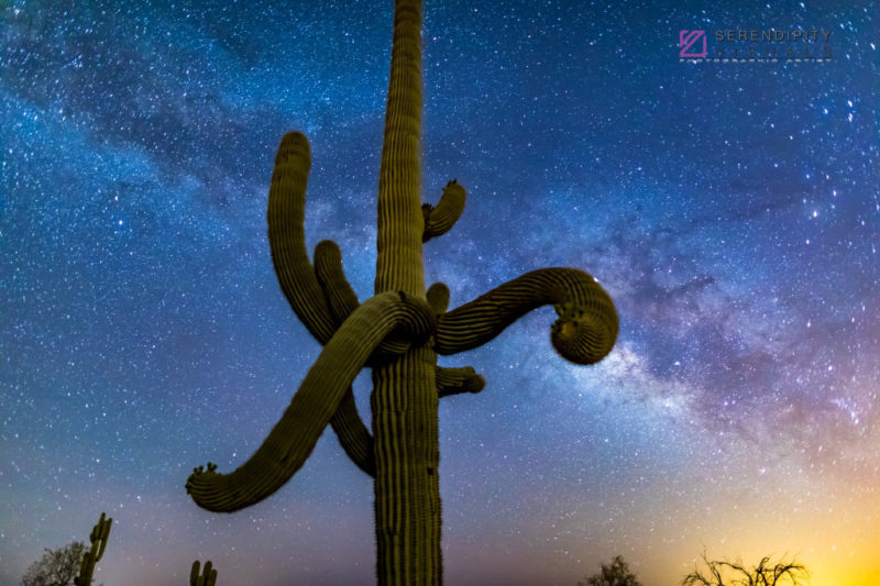 Nighttime Sky #7