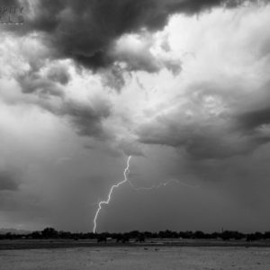 Monsoon #41