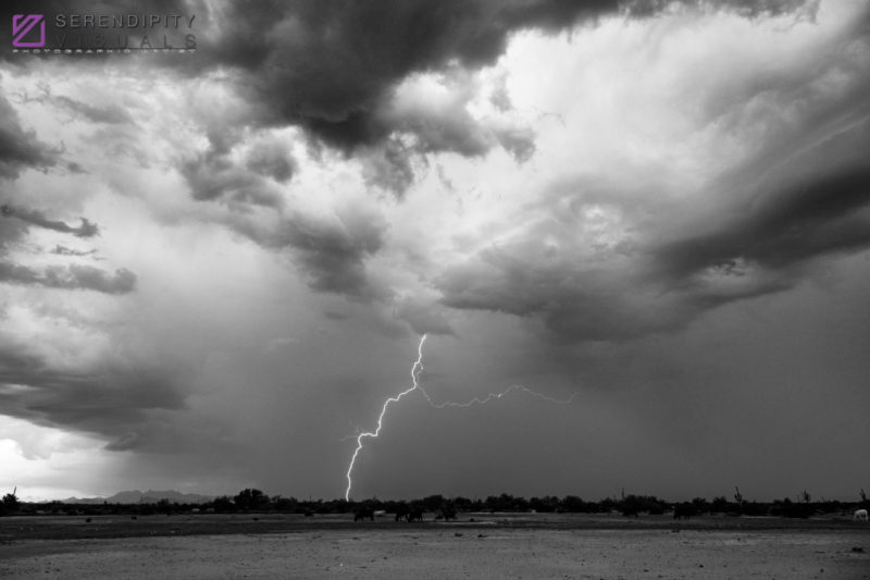 Monsoon #41