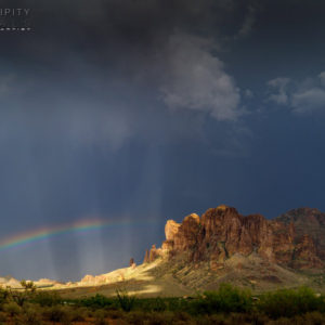Monsoon #29