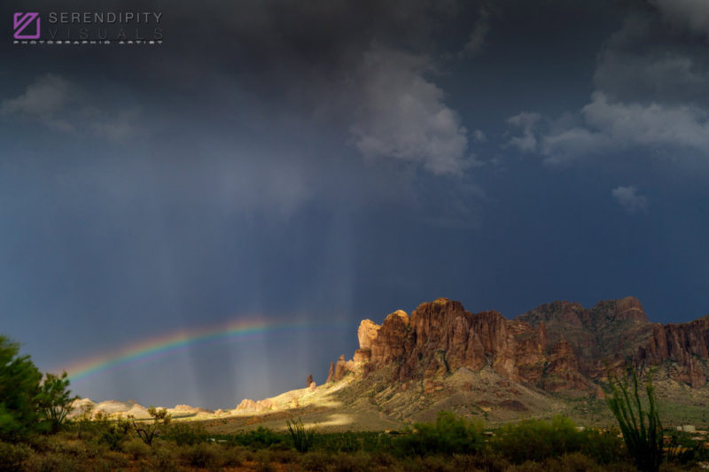 Monsoon #29