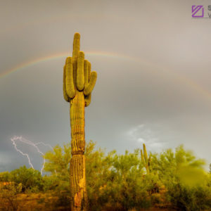 Monsoon #28