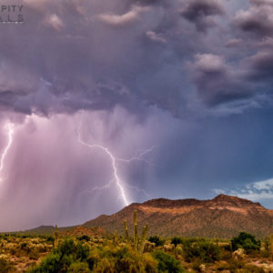 Monsoon #25