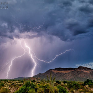 Monsoon #25