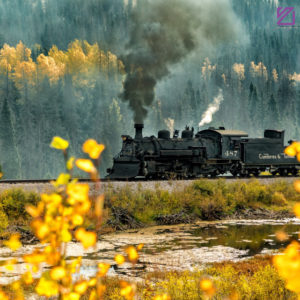 An Autumn Ride