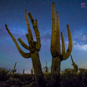 Nighttime Sky #10