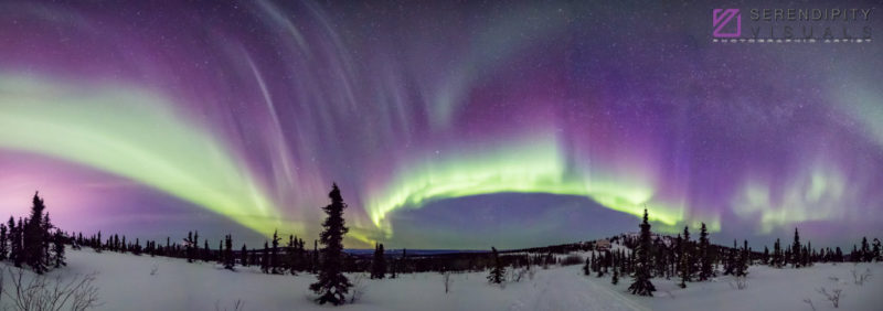 Auroral Panoramic #4