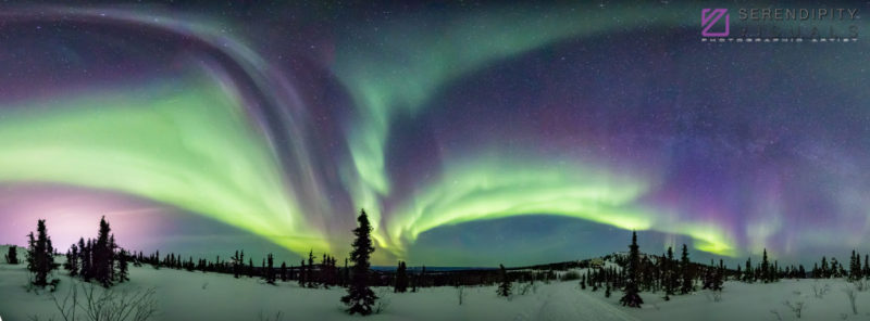 Auroral Panoramic #3