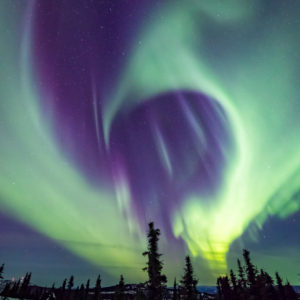 Curvaceous Aurora