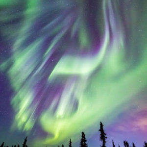 G Clef Aurora