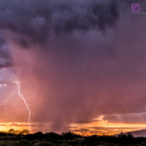 Monsoon #36