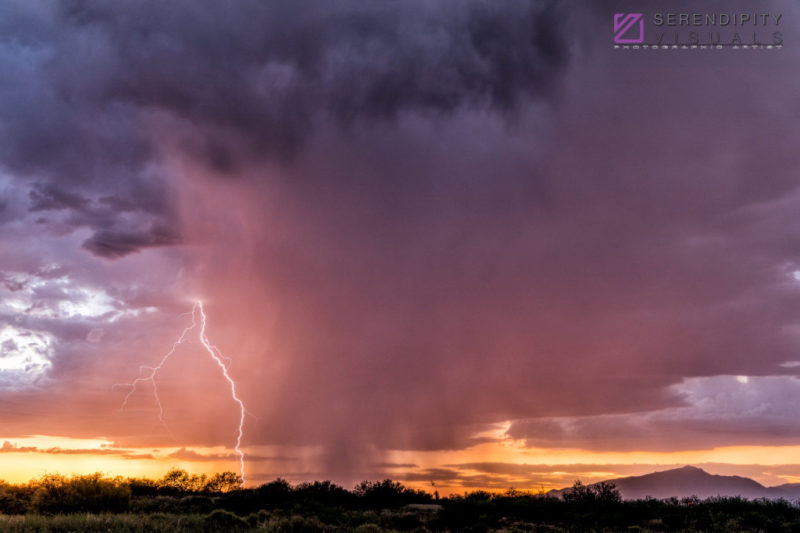 Monsoon #36