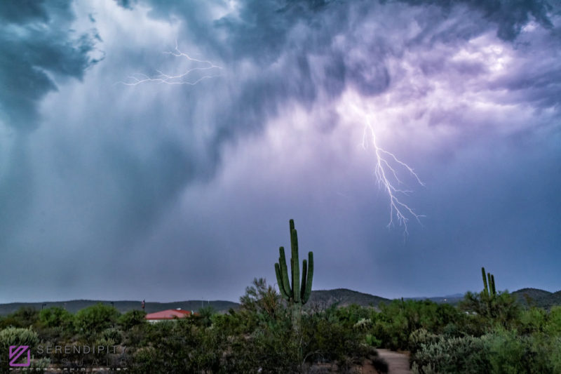 Monsoon #25