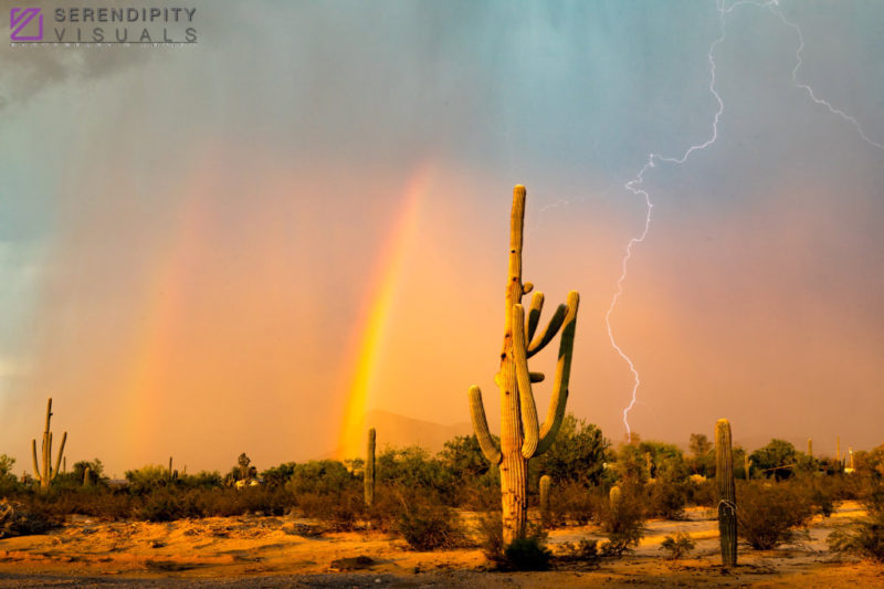 Monsoon #21