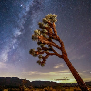 Nighttime Sky #1