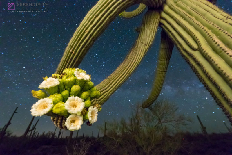 Nighttime Sky #2