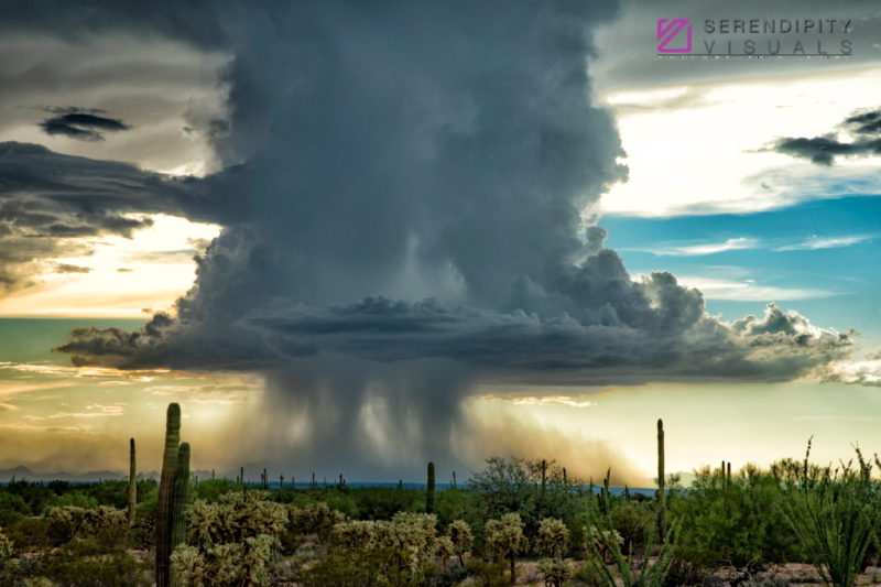 Monsoon #74
