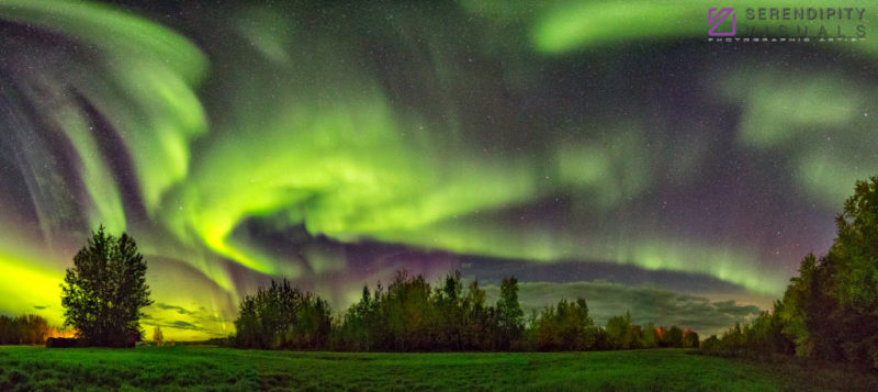 Auroral Panoramic #2