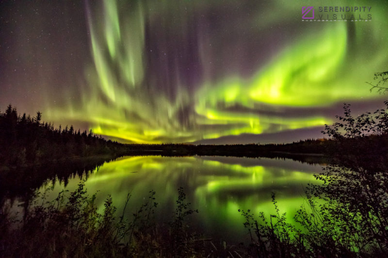 The Sky Dances