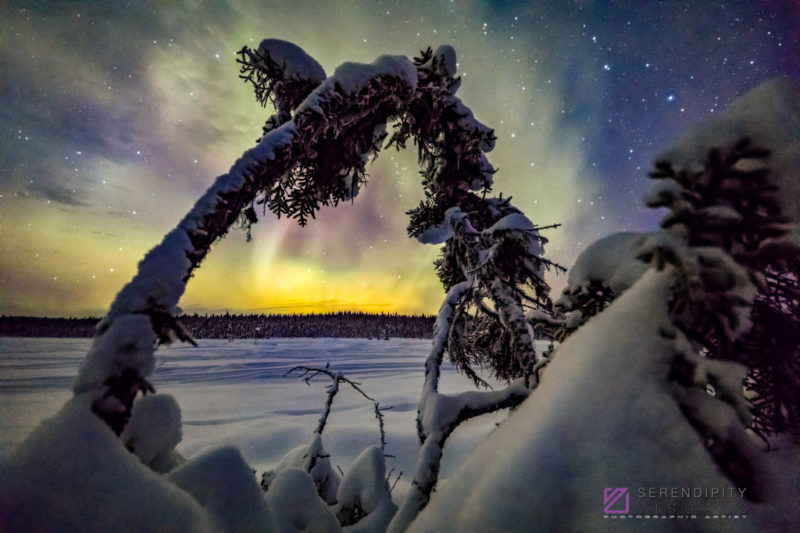 Auroral Portal