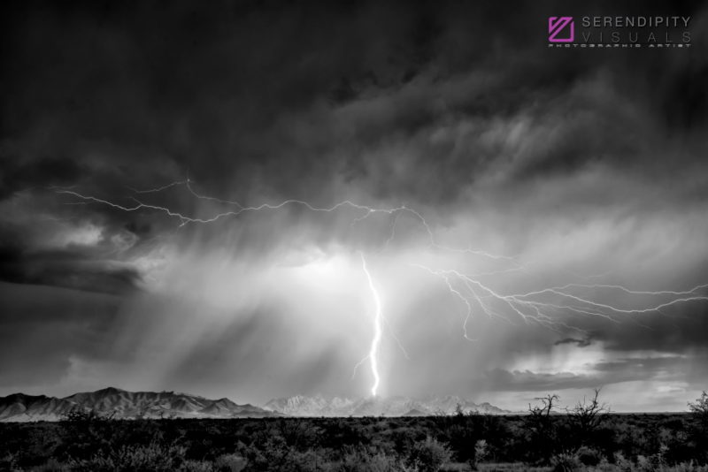 Monsoon #73