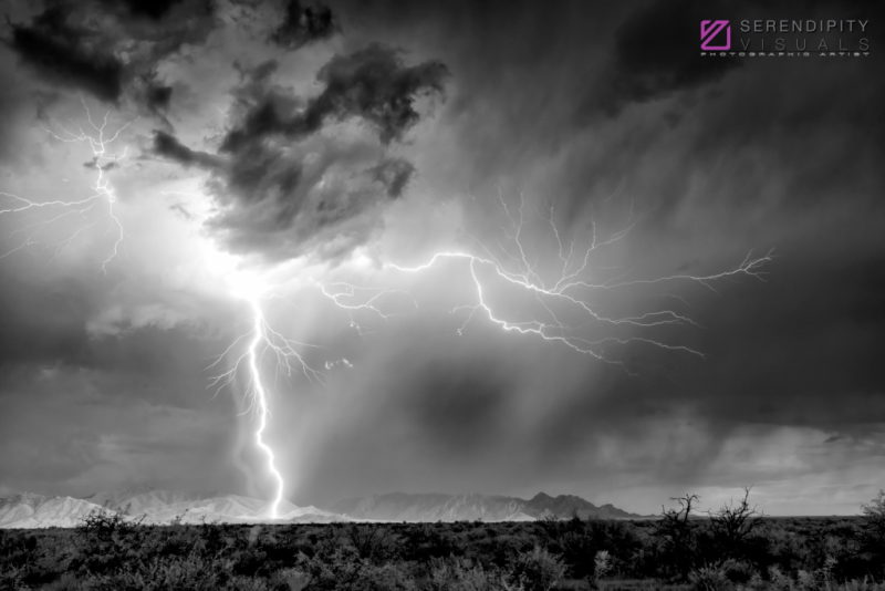 Monsoon #76