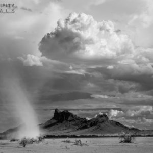 Monsoon #68