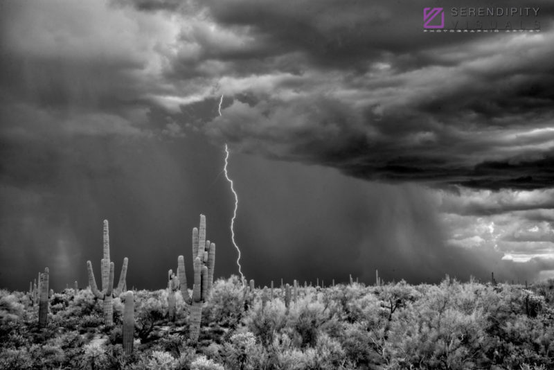 Monsoon #50