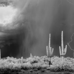 Monsoon #45