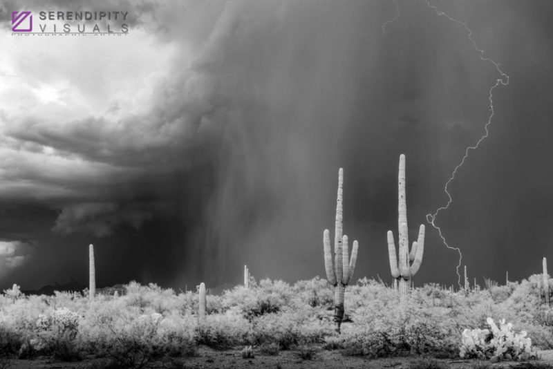 Monsoon #45