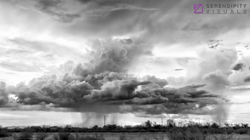 Monsoon #71