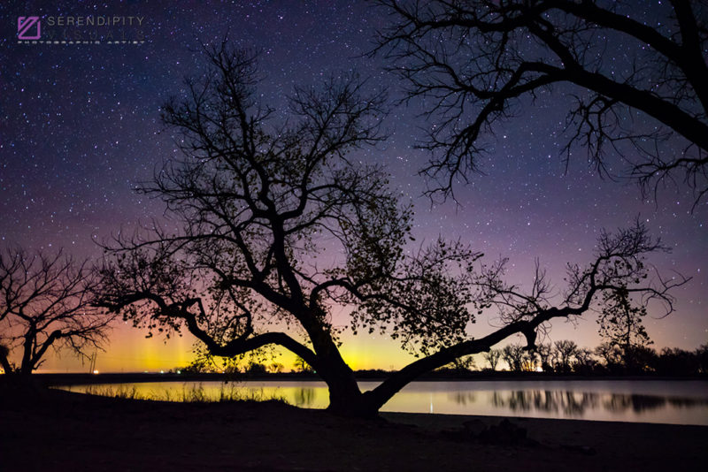 Lone Tree Aurora