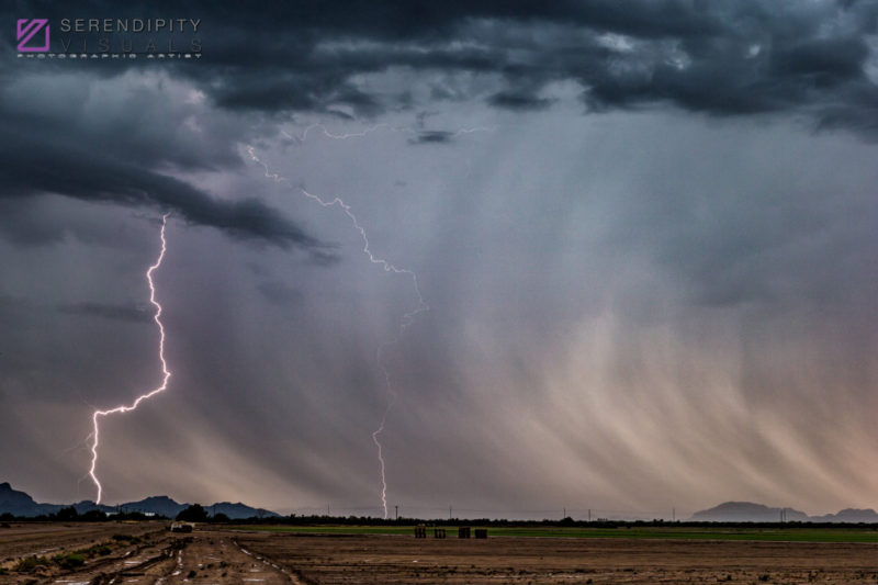 Monsoon #49