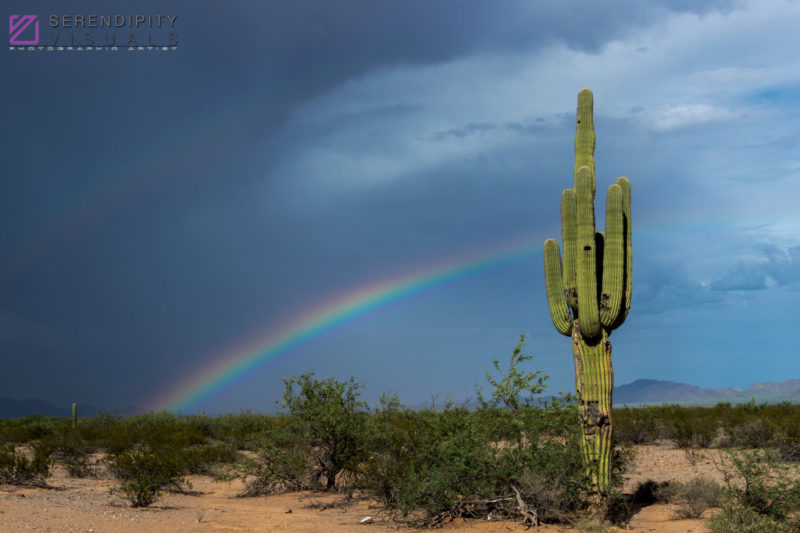 Monsoon #32