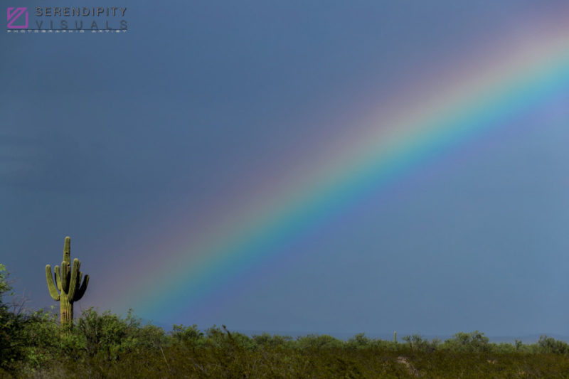 Monsoon #30