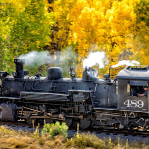 Passing the Autumn Leaves