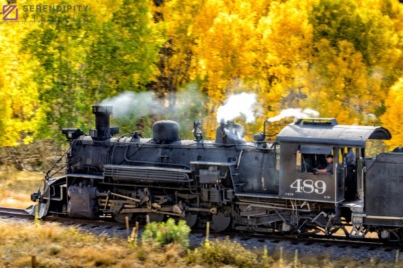 Passing the Autumn Leaves
