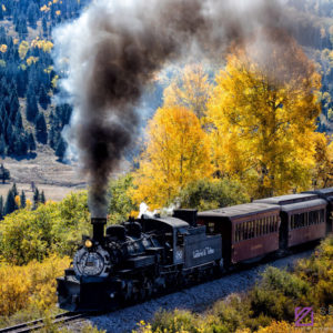 Passing the Autumn Leaves