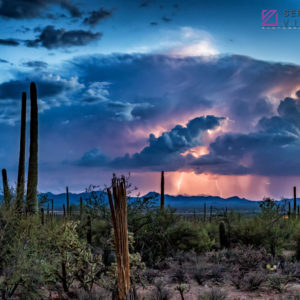 Monsoon #35