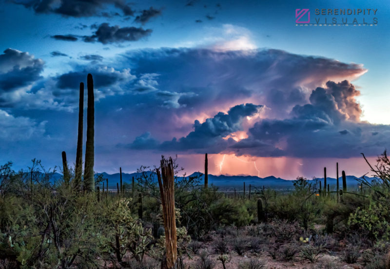Monsoon #35