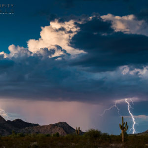 Monsoon #52