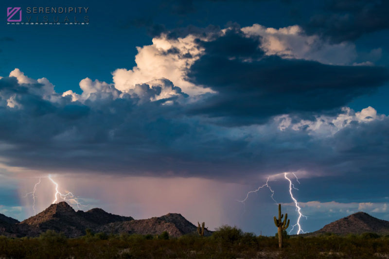 Monsoon #52