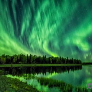 In the Auroral Rain