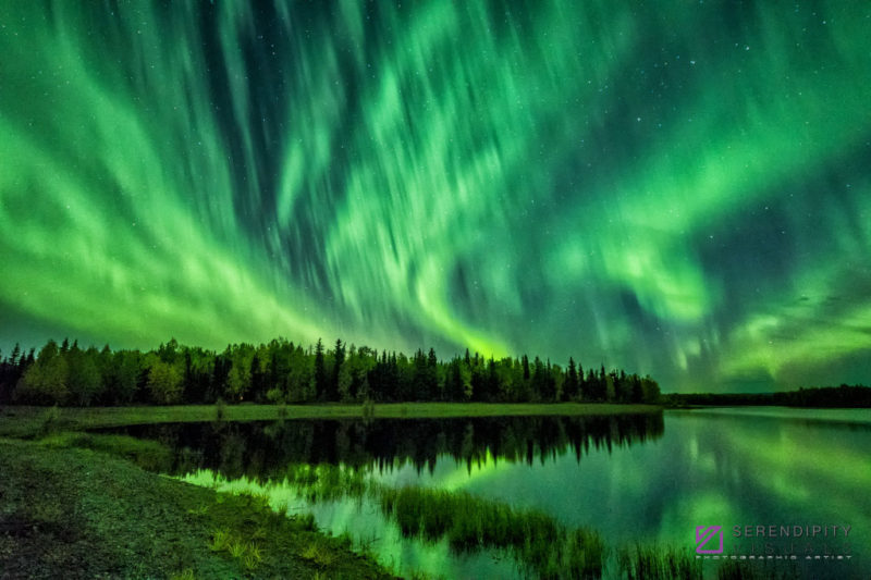 In the Auroral Rain