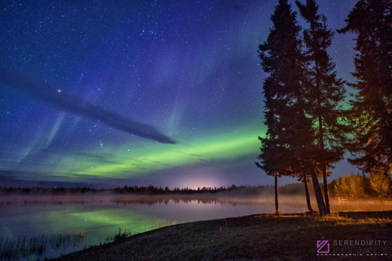 Aurora, Trees and Fog at Sunrise