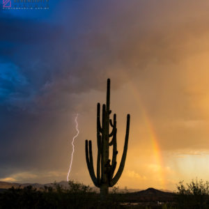 Monsoon #18
